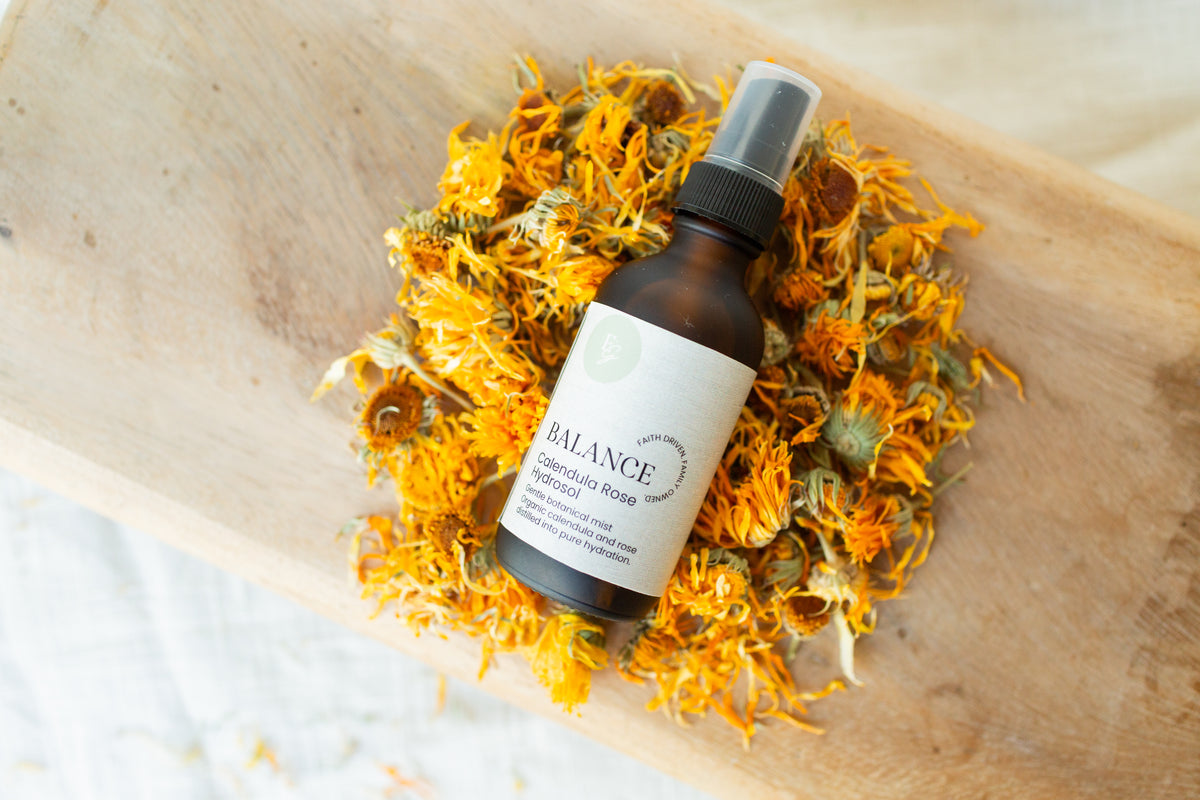 Calendula Rose